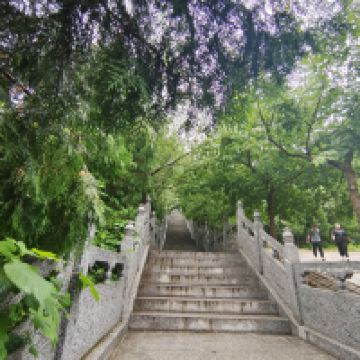 評論圖片 8