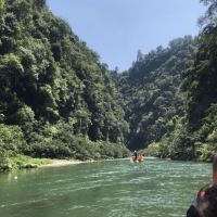 評論圖片 1