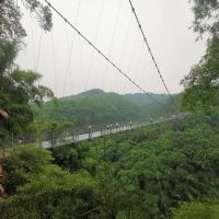 評論圖片 4
