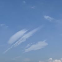 評論圖片 4