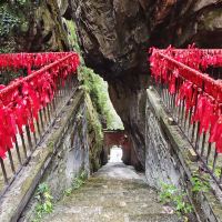評論圖片 6