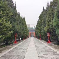 評論圖片 2