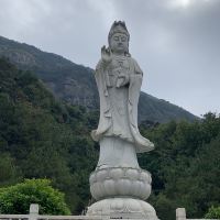 評論圖片 2