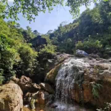 評論圖片 2