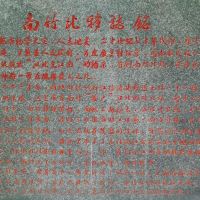 評論圖片 8