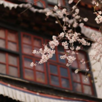評論圖片 8