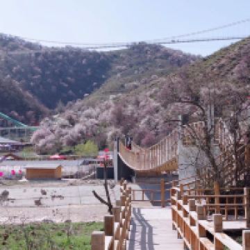 評論圖片 1
