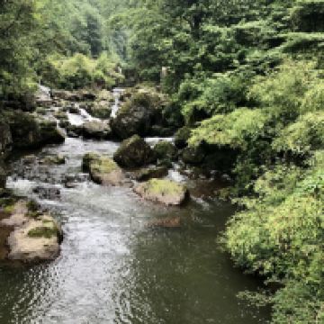 評論圖片 3
