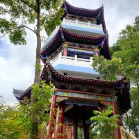 評論圖片 6