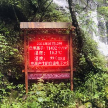 評論圖片 2