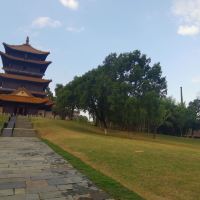 評論圖片 7