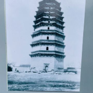 評論圖片 5