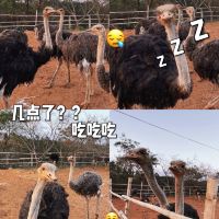 評論圖片 3
