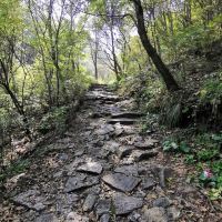 評論圖片 4