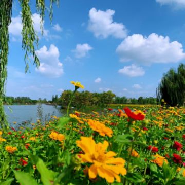 評論圖片 5
