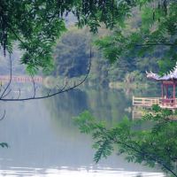 評論圖片 1