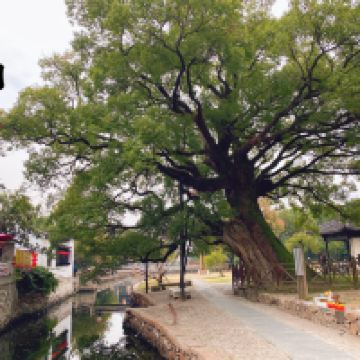 評論圖片 5