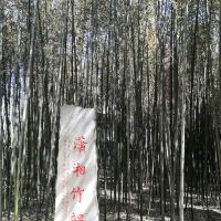 評論圖片 3
