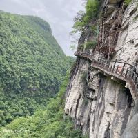 評論圖片 1