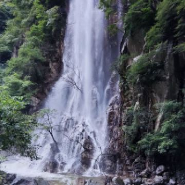 評論圖片 2