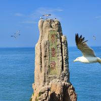 評論圖片 2