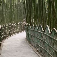 評論圖片 3