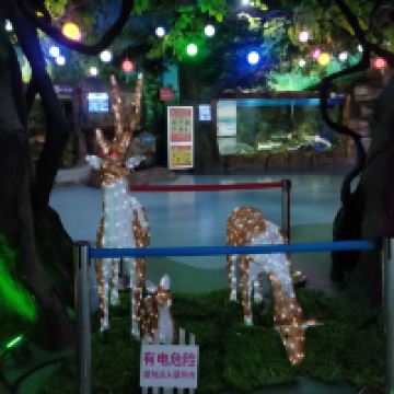 評論圖片 7