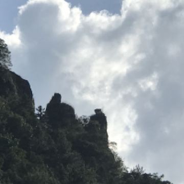 評論圖片 5