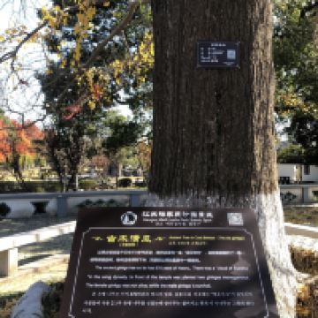 評論圖片 3