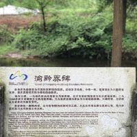評論圖片 3