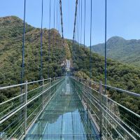 評論圖片 7