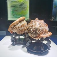 評論圖片 2