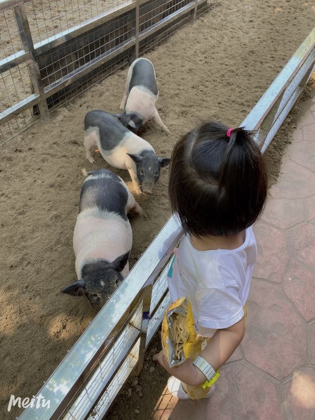 지파 생태계 농업 시범 관광파크