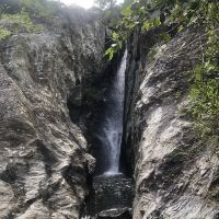 評論圖片 4