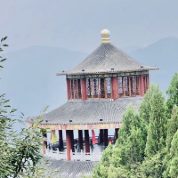 評論圖片 8