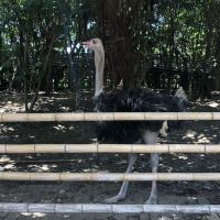 評論圖片 2