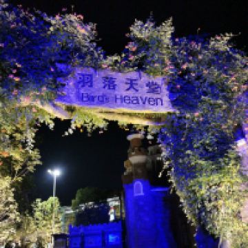 評論圖片 5
