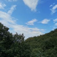 評論圖片 1