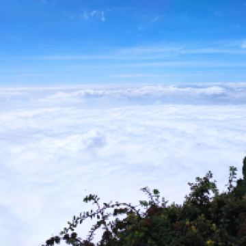 評論圖片 8
