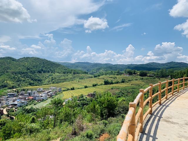 핑산 제전