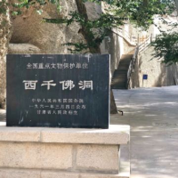評論圖片 4