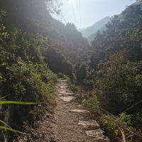 評論圖片 6