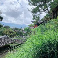 評論圖片 1
