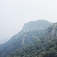 評論圖片 5