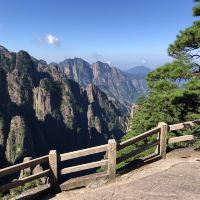 評論圖片 1
