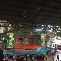 評論圖片 7