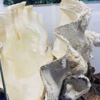 評論圖片 3