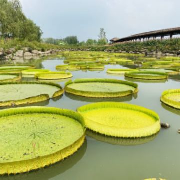 評論圖片 4