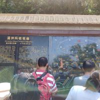 評論圖片 2