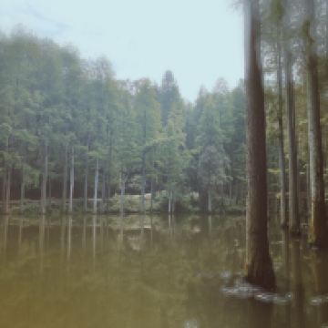 評論圖片 2